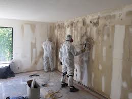 Asbestos and Lead Testing During Mold Inspection in Sidney, IL